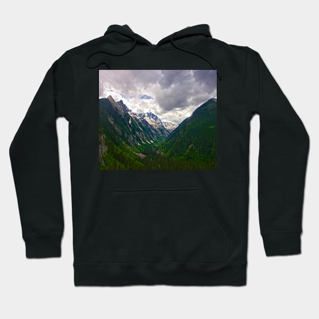 Rocky Mountian Valley Hoodie by StevenElliot